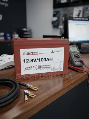 GoPower 12.8V 100Ah LiFePO4 Lithium Solar Battery - Long Lifespan