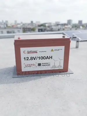 Durable GoPower 100Ah 12.8V Lithium Iron Phosphate Backup Battery
