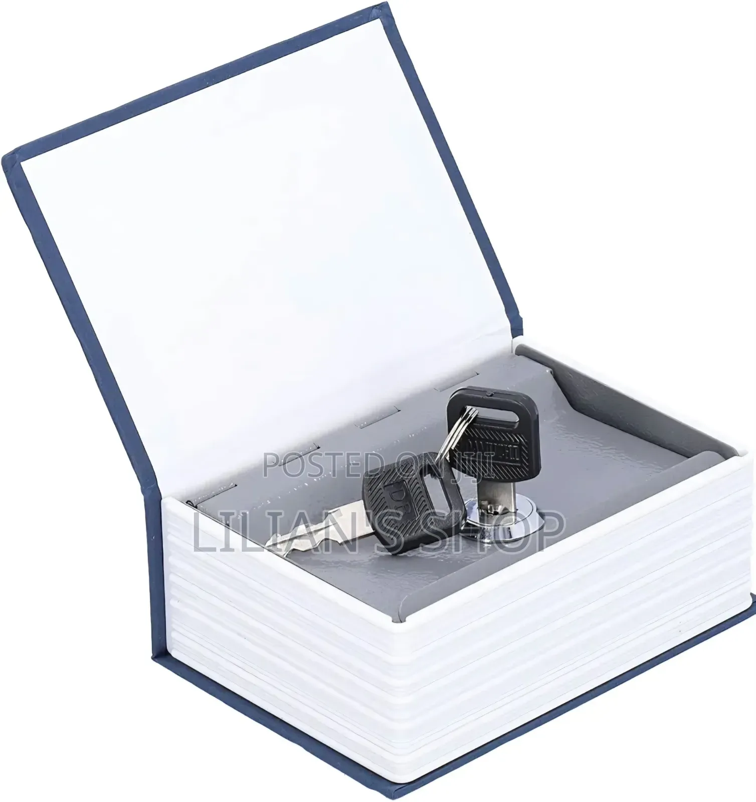 Mini Storage Book Safe
