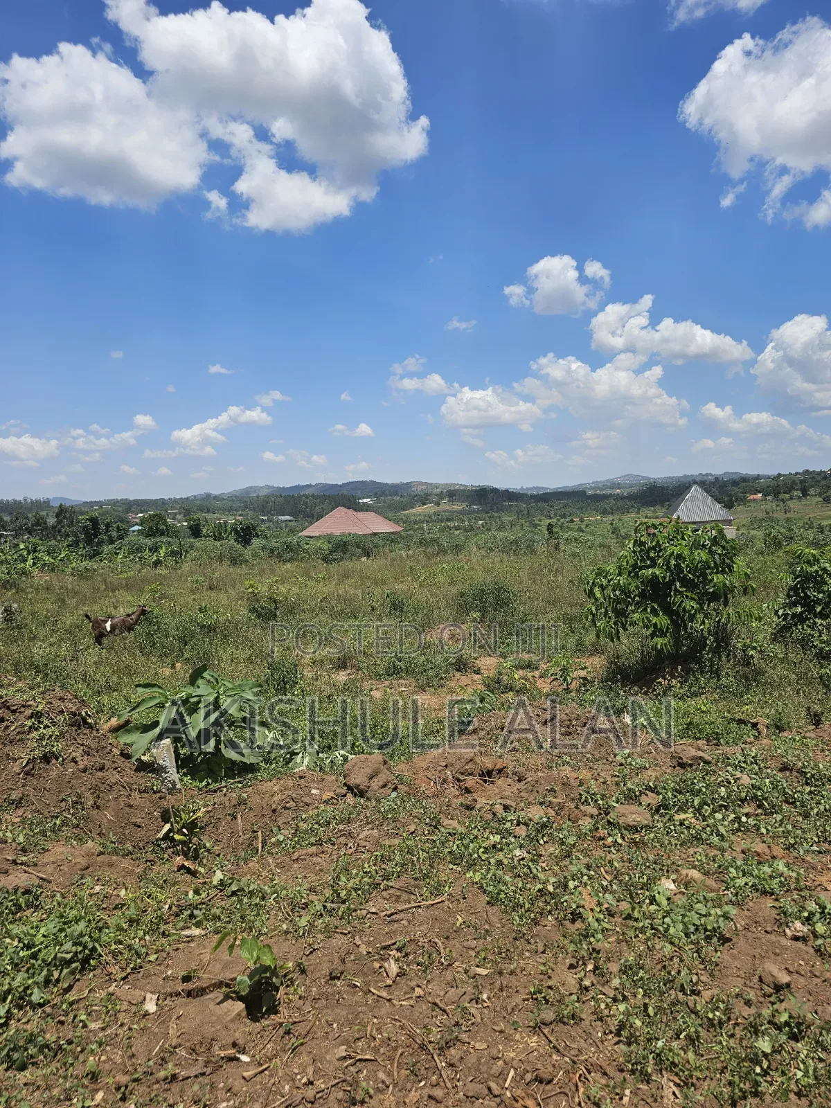 Prime Plots on Sale at Nampunge-Gobero, Kakiri Along Hoima Rd