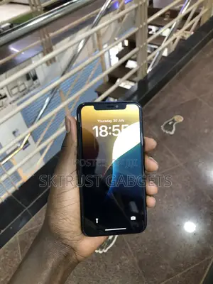 Apple iPhone 11 Pro 256 GB Gray