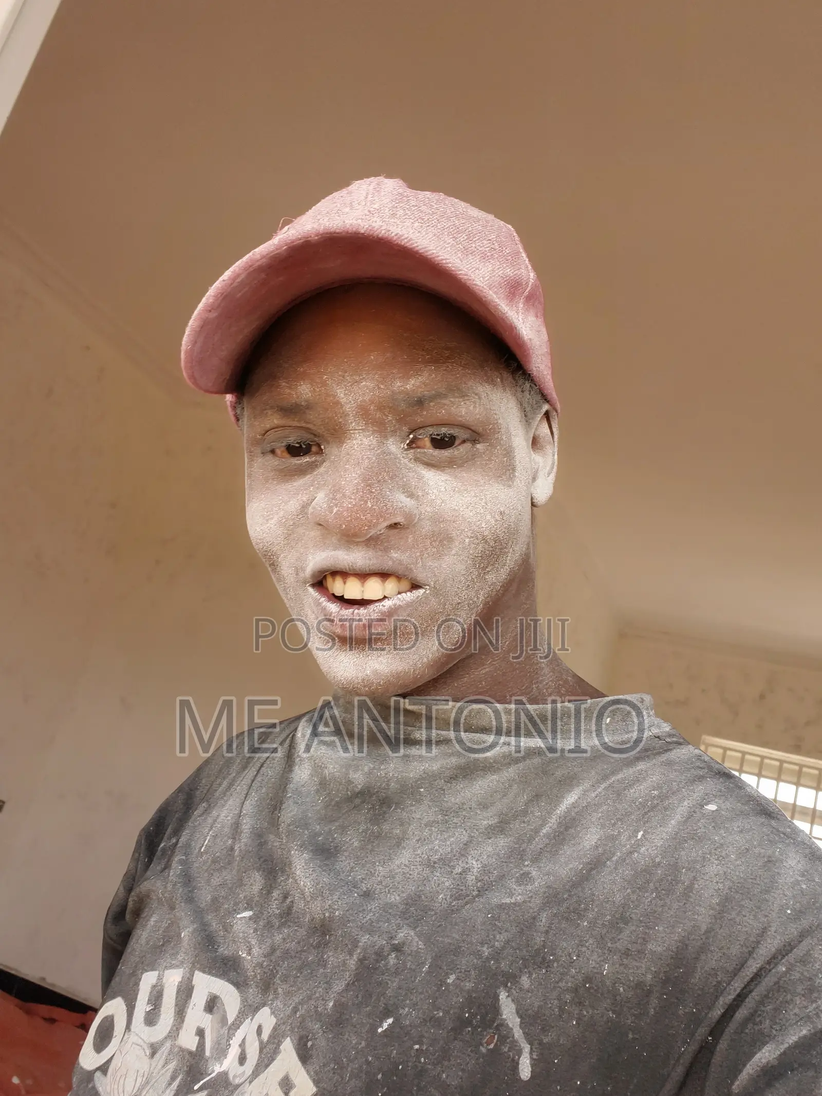 Professional Painter