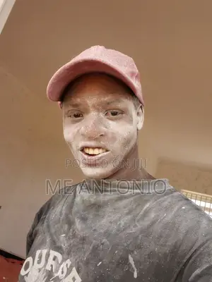 Professional Painter