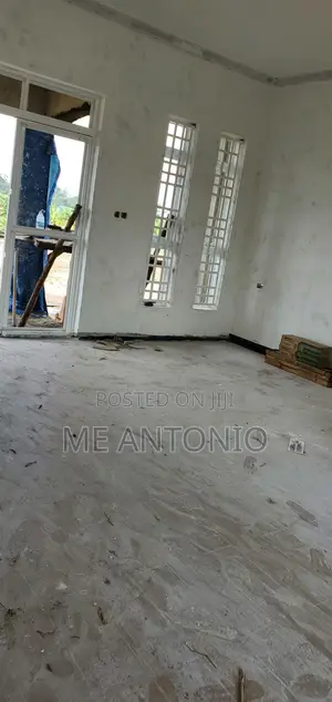Professional Painter