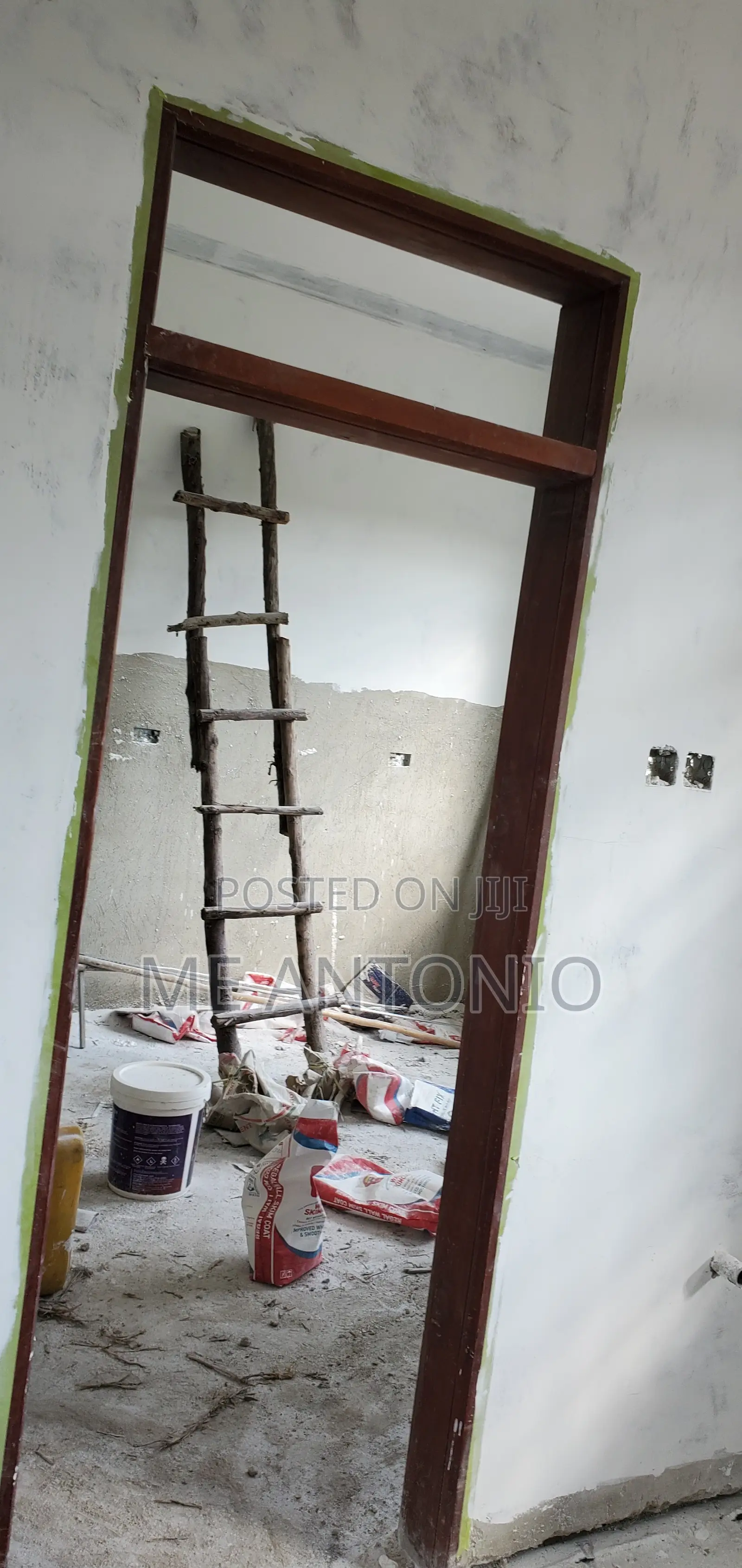 Professional Painter
