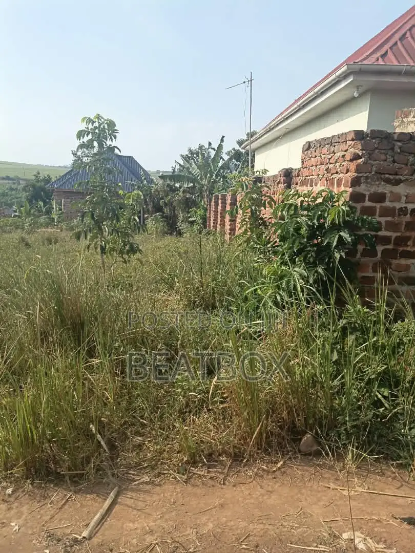 Plot Mukono