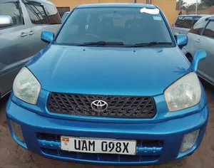 Toyota RAV4 2004 Blue