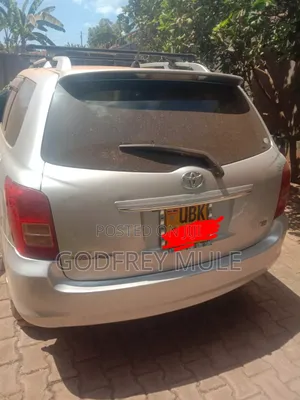 Toyota Corolla Fielder 2006 Silver