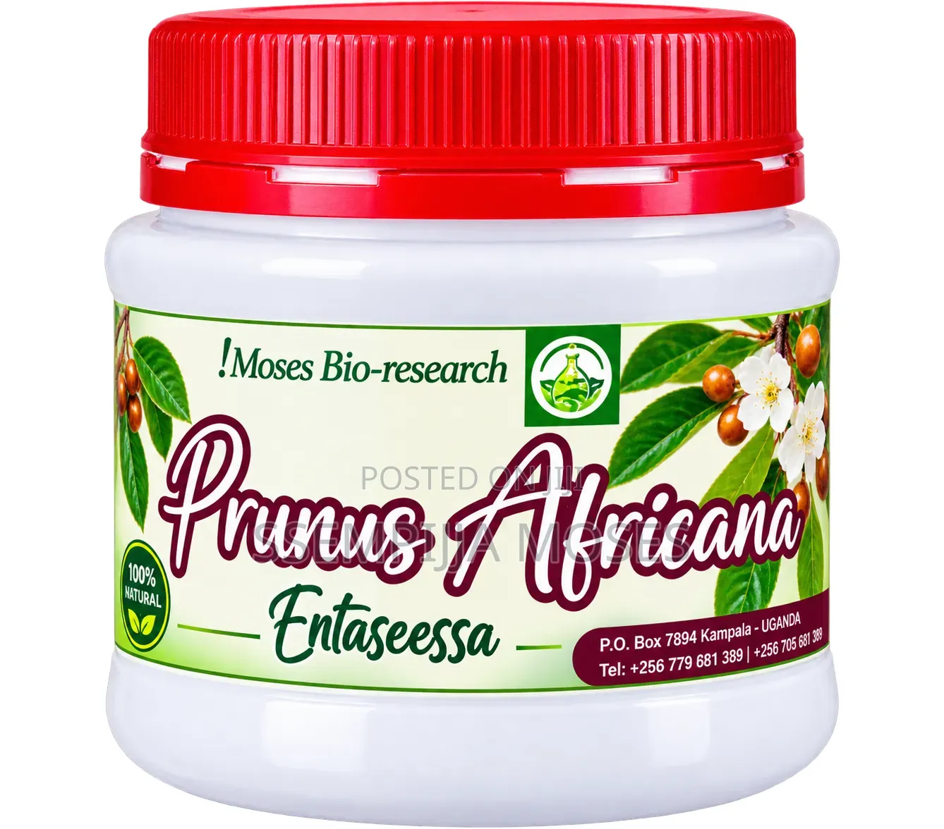 Prunnus Africana