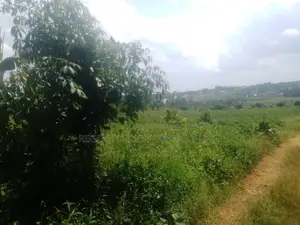 50 Acres of Land on Sale in Namuganga, Nakifuma
