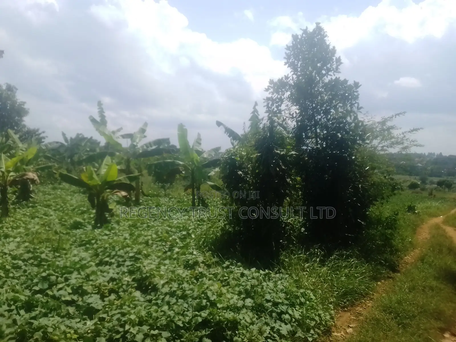 50 Acres of Land on Sale in Namuganga, Nakifuma