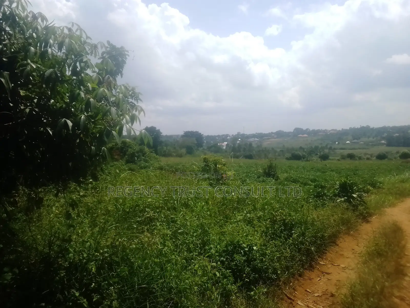 50 Acres of Land on Sale in Namuganga, Nakifuma