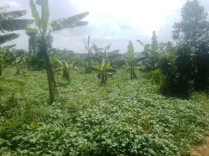 50 Acres of Land on Sale in Namuganga, Nakifuma