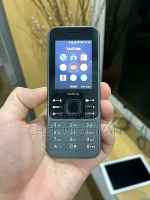 New Nokia 6300 Gray