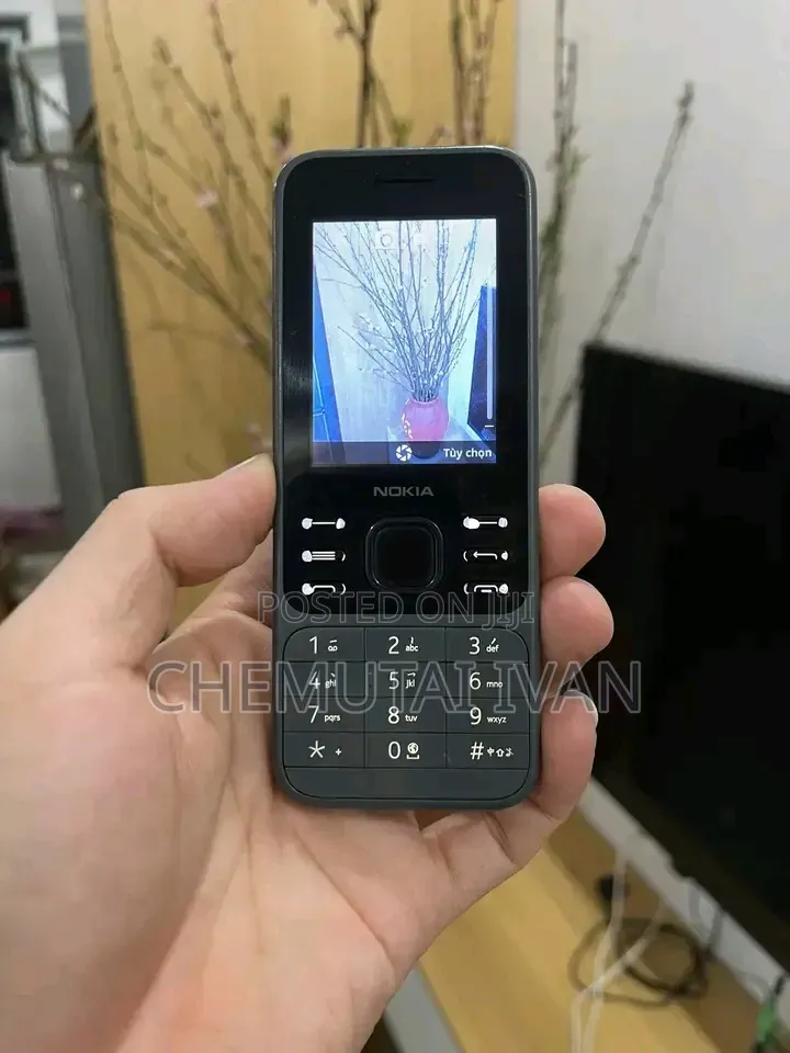 New Nokia 6300 Gray