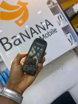 New Nokia 6310 Gray