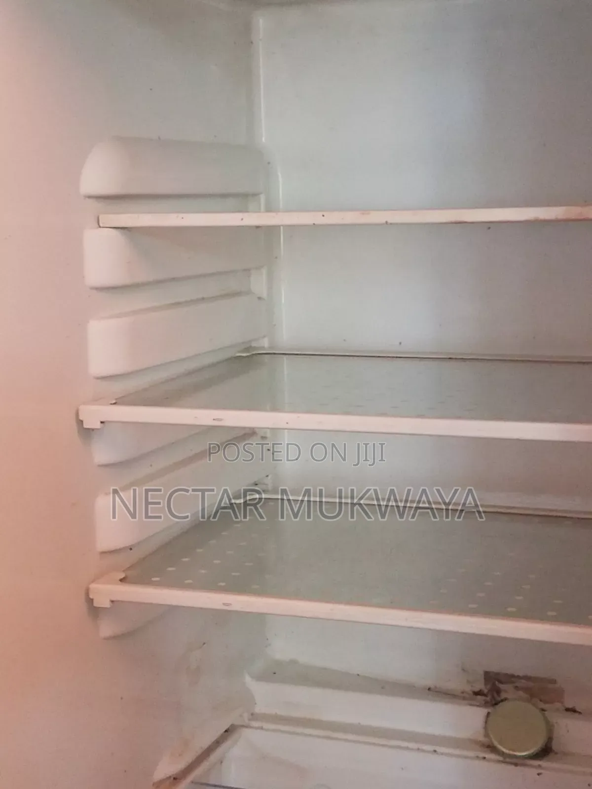 Affordable Fridge