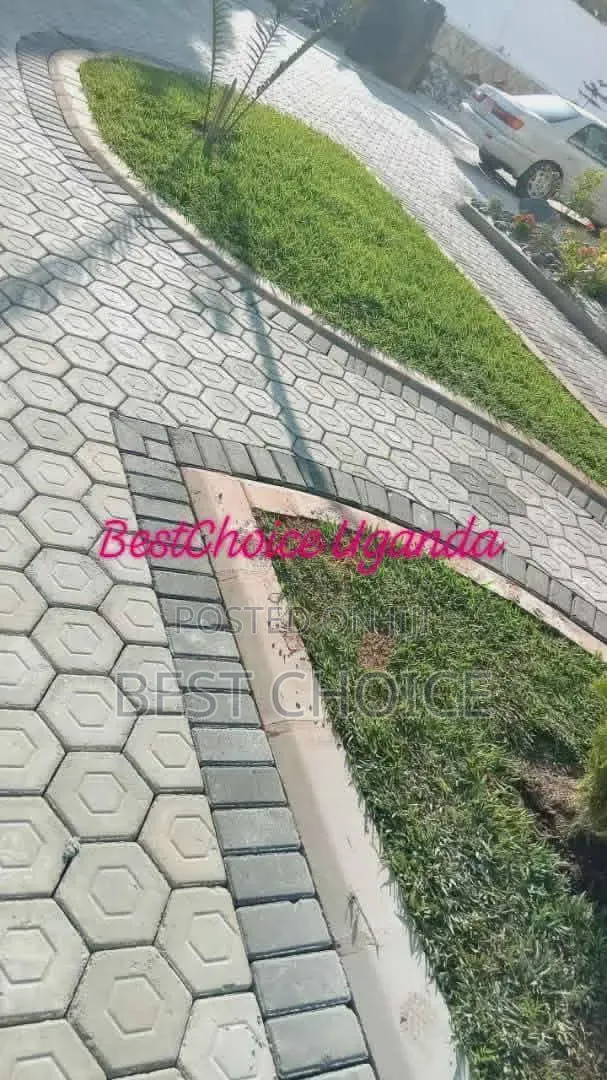 Expert Pavers Installation Services Laying the Background for Beauty