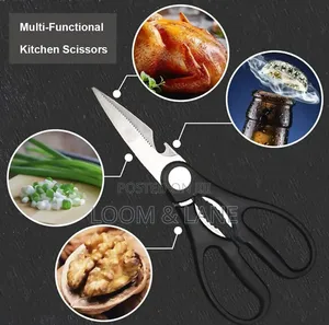 Multi-Functional Stainless Steel Kitchen Shears