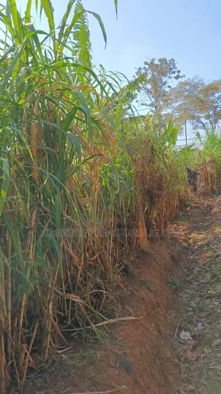 🔥🔥 35 Decimals of Prime Land for Sale in Kawempe Ttula! 🔥🔥
