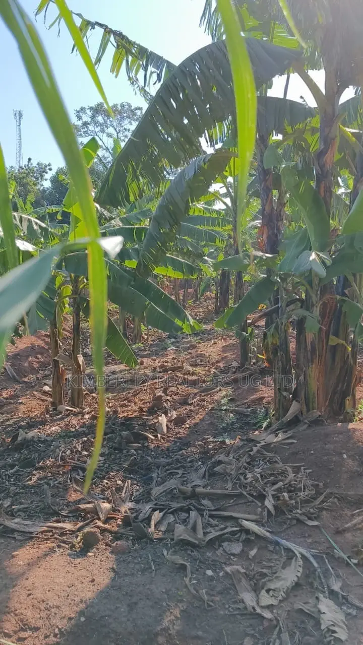 🔥🔥 35 Decimals of Prime Land for Sale in Kawempe Ttula! 🔥🔥