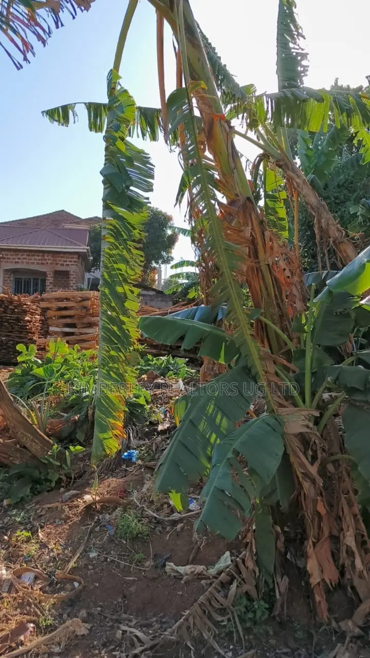 🔥🔥 15 Commercial Decimals of Prime Land for Sale in Kawempe Ttula! 🔥🔥