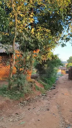 🔥🔥 24 Commercial Decimals of Prime Land for Sale in Kawempe Ttula! 🔥🔥