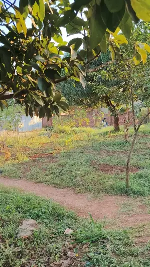 🔥🔥 24 Commercial Decimals of Prime Land for Sale in Kawempe Ttula! 🔥🔥