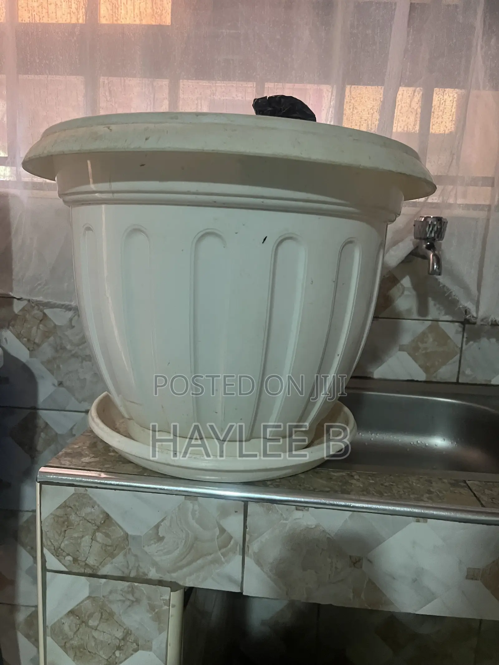 Flower Pot