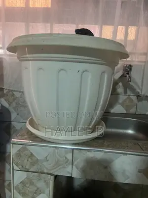 Flower Pot