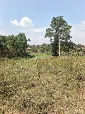 🔥🔥 9 Acres of Prime Land for Sale in Kamwenge, Western Uganda! 🔥🔥