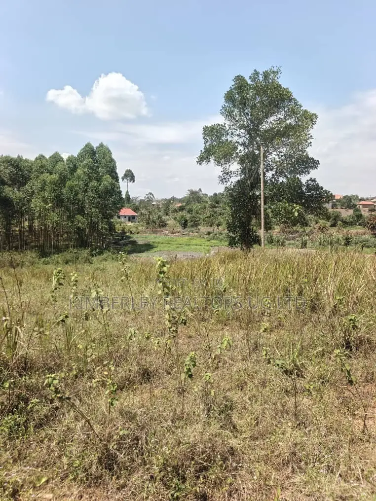 🔥🔥 9 Acres of Prime Land for Sale in Kamwenge, Western Uganda! 🔥🔥