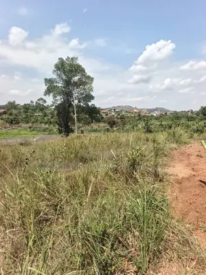 🔥🔥 9 Acres of Prime Land for Sale in Kamwenge, Western Uganda! 🔥🔥