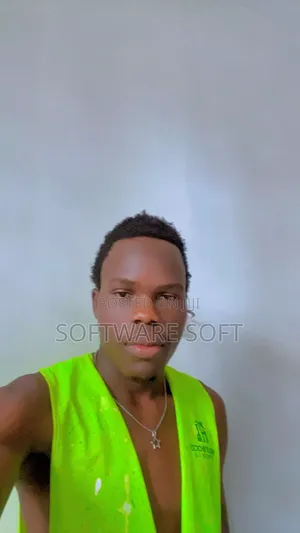A Hard Working Painter