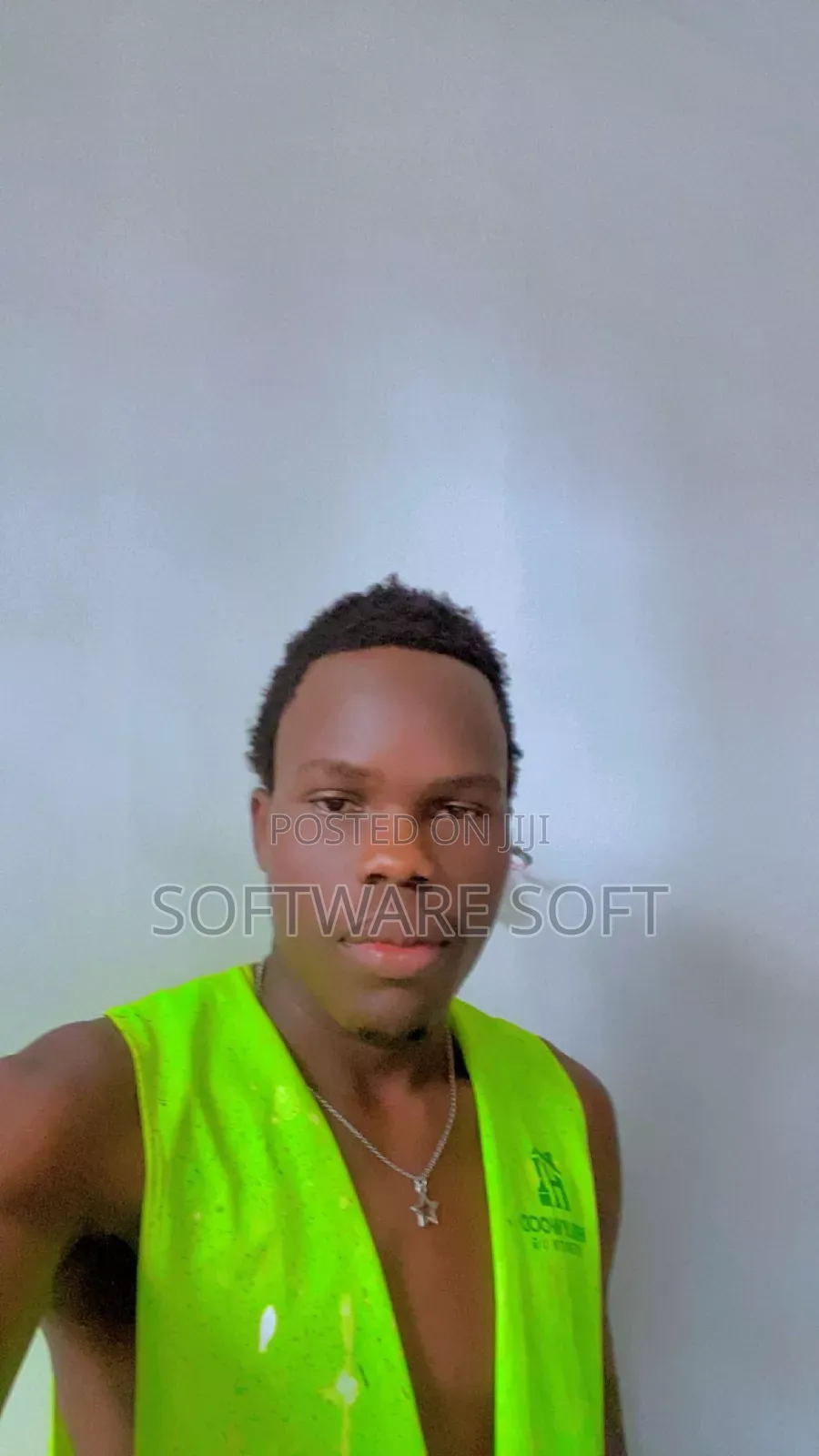 A Hard Working Painter