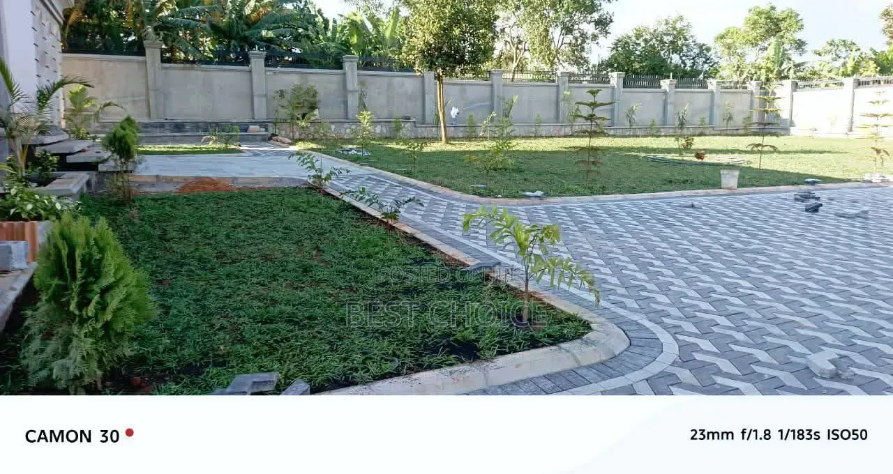 Pavers Installation Services That Work for Every Day Life.