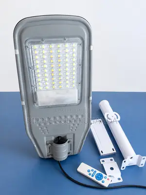 30W Solar LED Street Light 100 Lights Outdoor Security Lamp
