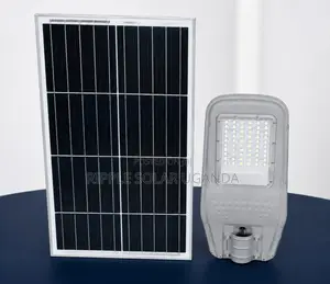 30W Solar LED Street Light 100 Lights Outdoor Security Lamp