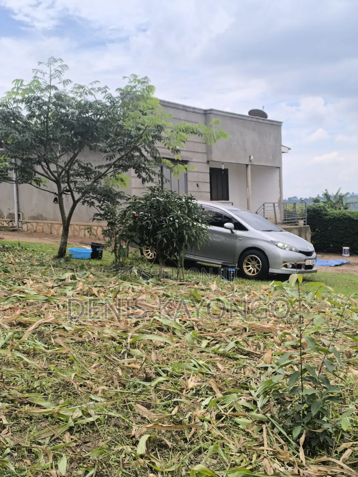 Toyota Wish 2011 Gray