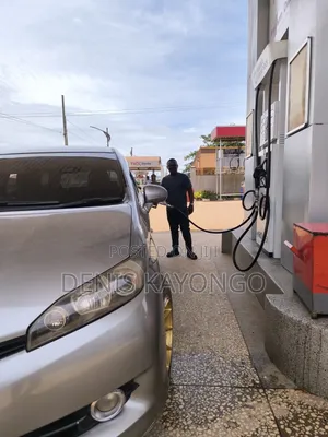 Toyota Wish 2011 Gray