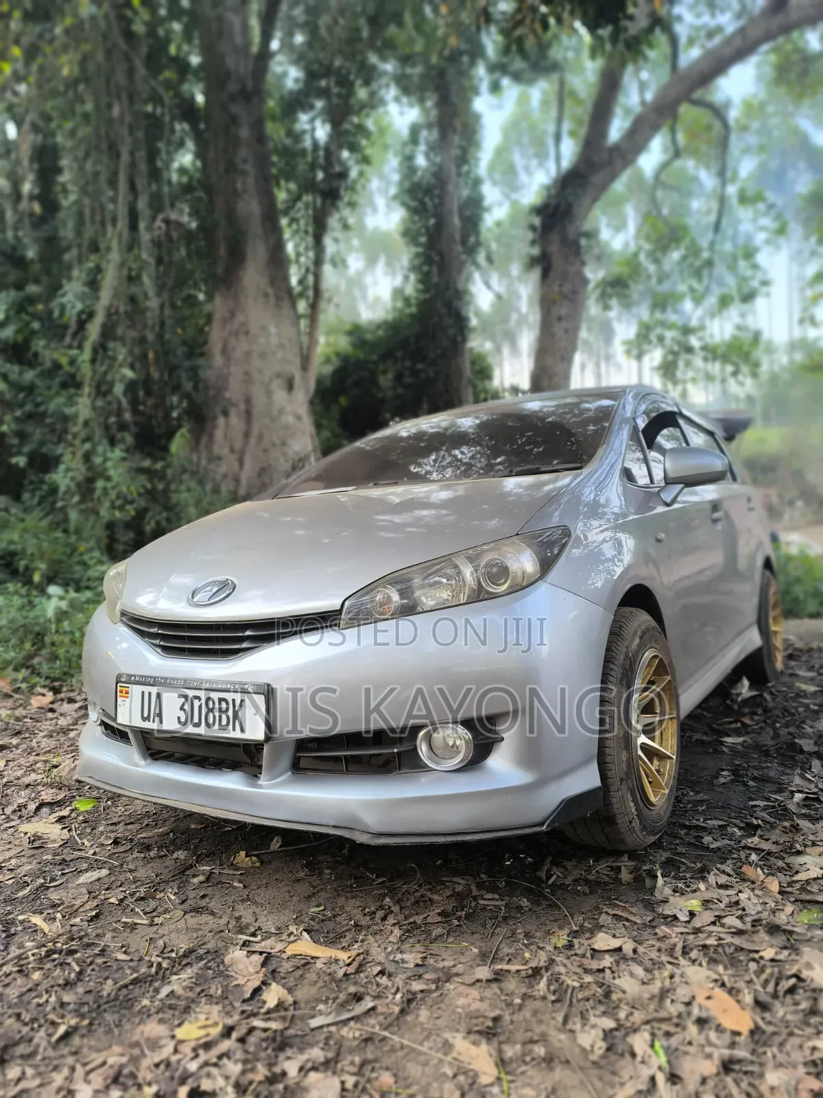 Toyota Wish 2011 Gray