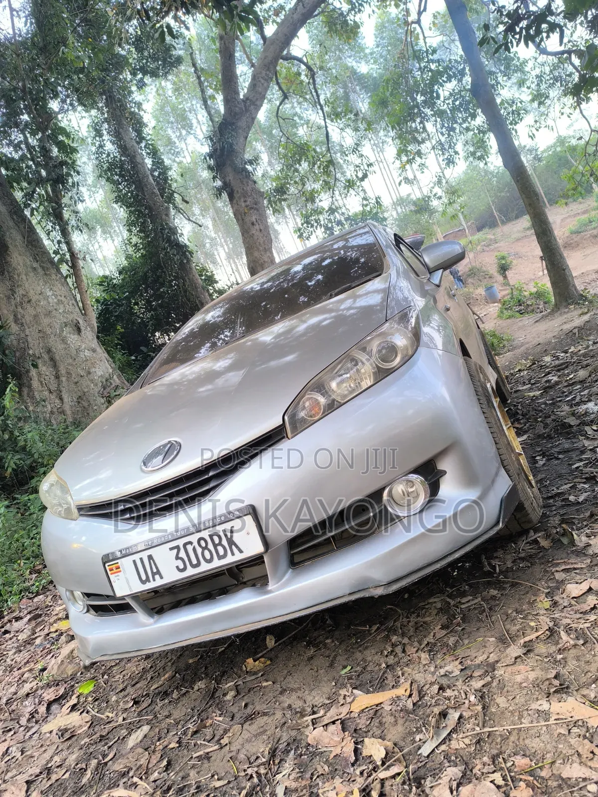 Toyota Wish 2011 Gray