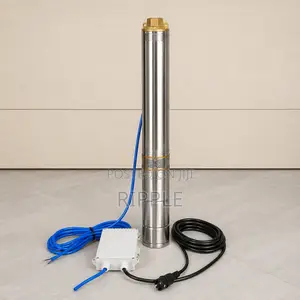 250W–1100W Electric Borehole Water Pumps 64m–190m Head