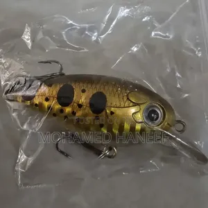 Luminous Fishing Lures