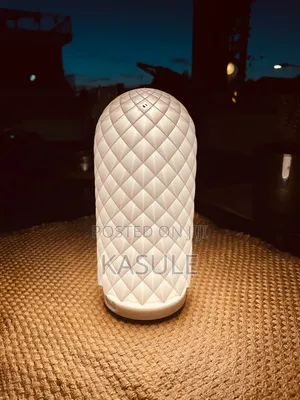 Potable Table Lamp