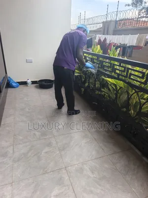 Move in Cleaning Services