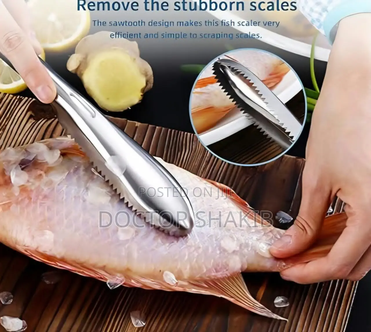 Stainless Steel Fish Scale Scraper