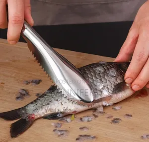 Stainless Steel Fish Scale Scraper