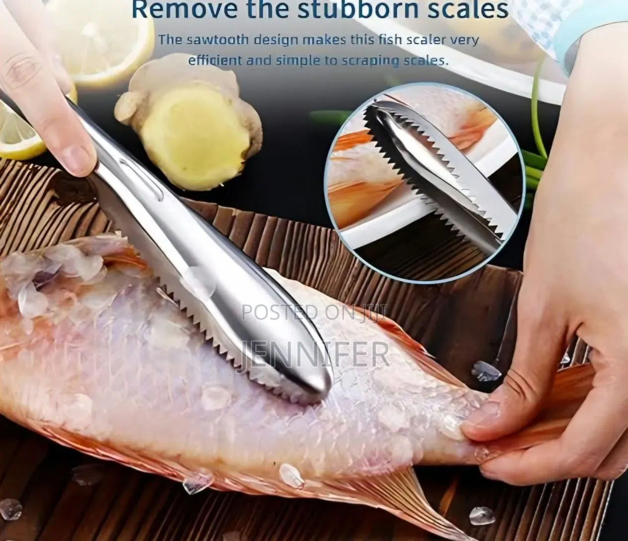 Stainless Steel Fish Scale Scraper