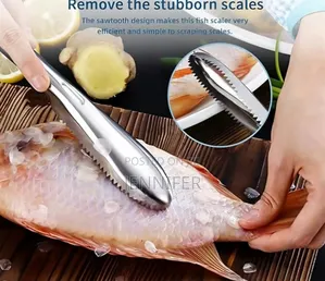 Stainless Steel Fish Scale Scraper